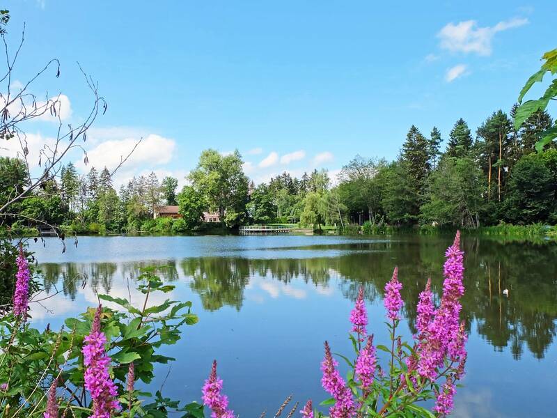 Ein See mit Bäumen und Pflanzen ringsherum