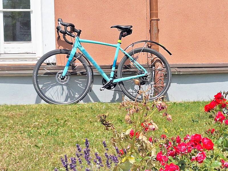 Ein Fahrrad an eine Hauswand gelehnt. Im Vordergrund Blumensträucher.
