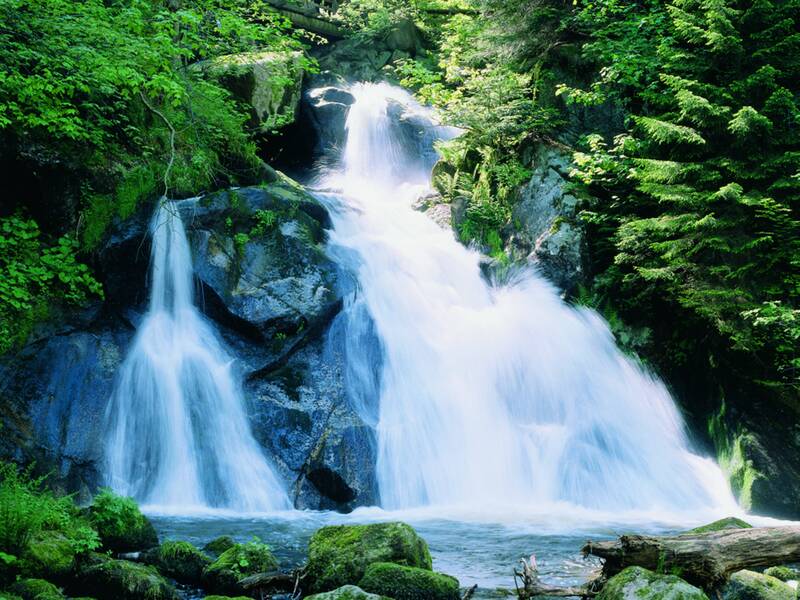 Wasserfall mit mehreren Kaskaden umgeben von moosbedeckten Felsen und dichtem Nadelwald