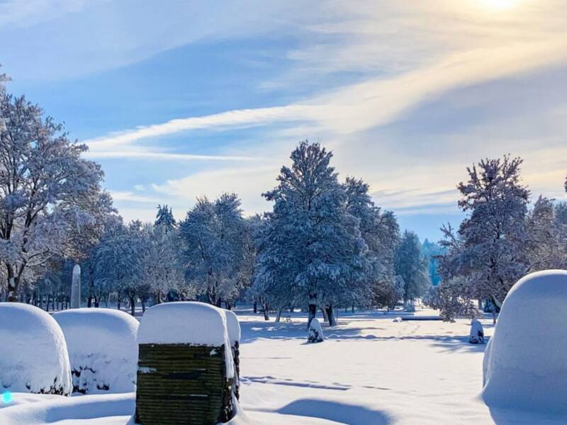 Verschneiter Park mit schneebedeckten Bänken und Bäumen unter blauem Himmel