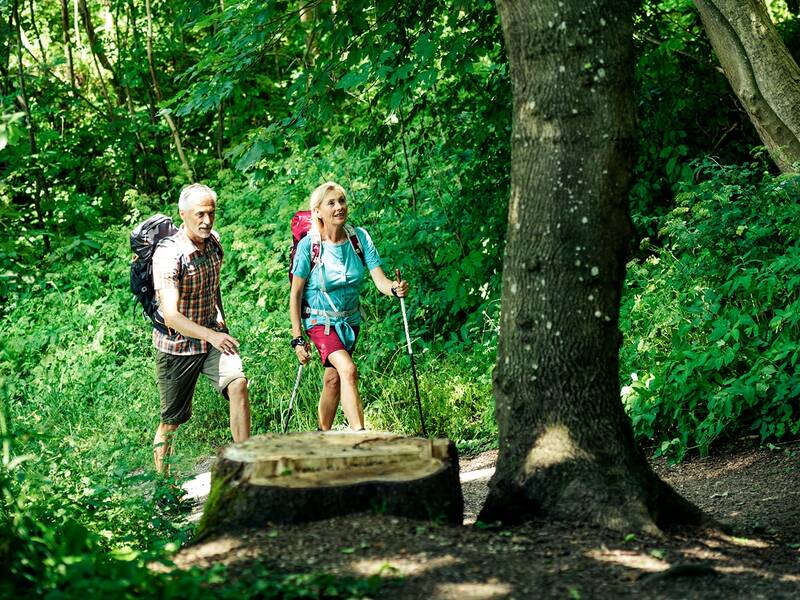 Zwei Wanderer mit Rucksäcken und Wanderstöcken gehen auf einem Waldweg zwischen Bäumen und dichtem Grün.