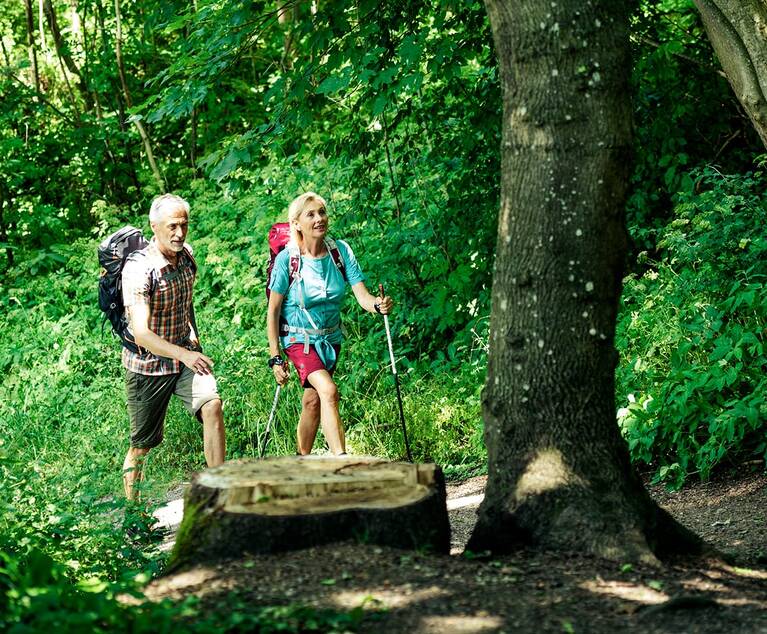 Zwei Wanderer mit Rucksäcken und Wanderstöcken gehen auf einem Waldweg zwischen Bäumen und dichtem Grün.