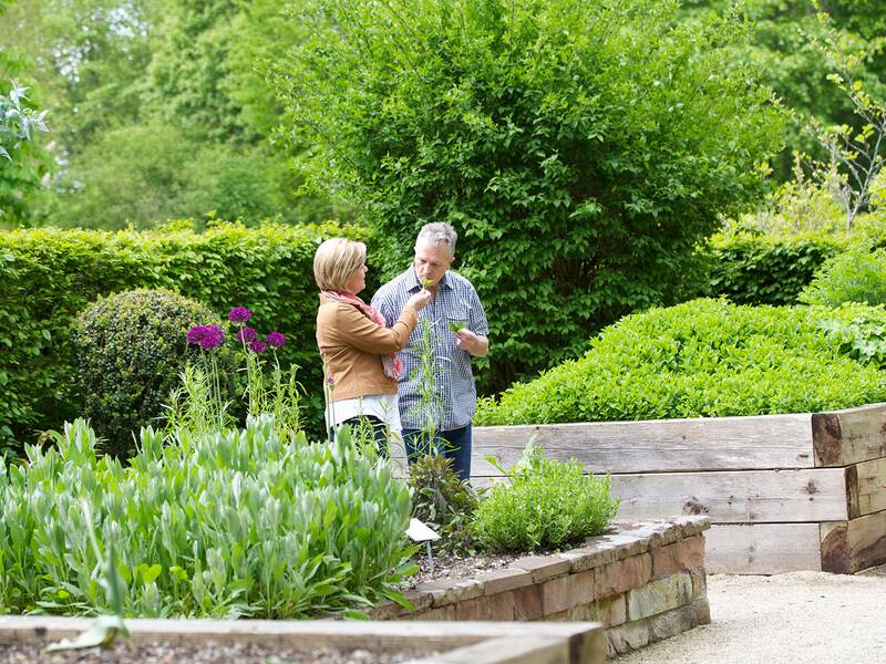 Ein Mann und eine Frau stehen in einem üppigen Garten und unterhalten sich, umgeben von verschiedenen Pflanzen und Sträuchern.