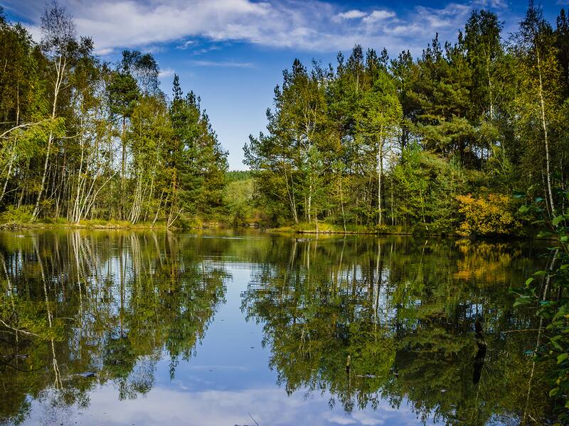Spiegelglatte Wasseroberfläche eines Sees, umgeben von Nadel- und Laubbäumen unter blauem Himmel mit Wolken.