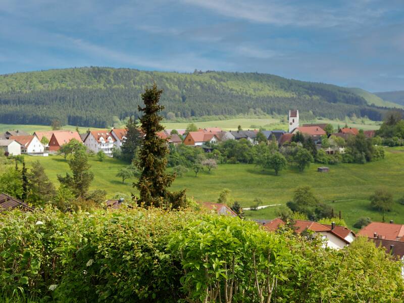 Eine grüne Wiese, im Hintergrund ein Dorf mit Kirche und bewaldeten Hügeln.