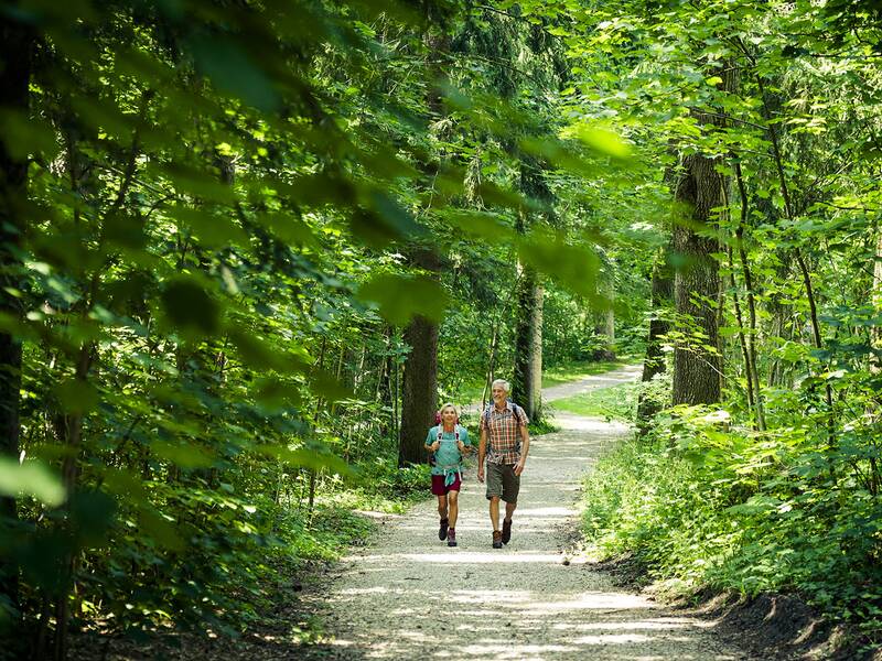 Zwei Wanderer mit Rucksäcken gehen auf einem schmalen Waldweg, umgeben von dichtem grünem Laub.