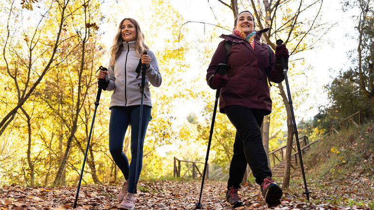 Zwei Frauen beim Nordic Walking auf einem mit Herbstlaub bedeckten Waldweg, umgeben von gelb gefärbten Bäumen.