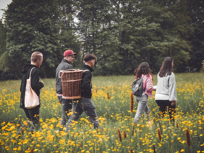 Fünf Personen mit Rucksäcken und einem Korb gehen durch eine Wiese mit gelben Blumen, umgeben von Bäumen.