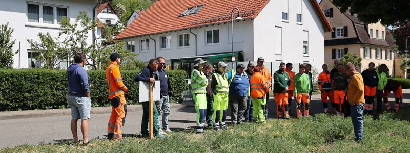 Menschen in Arbeitskleidung vor einer Wiese