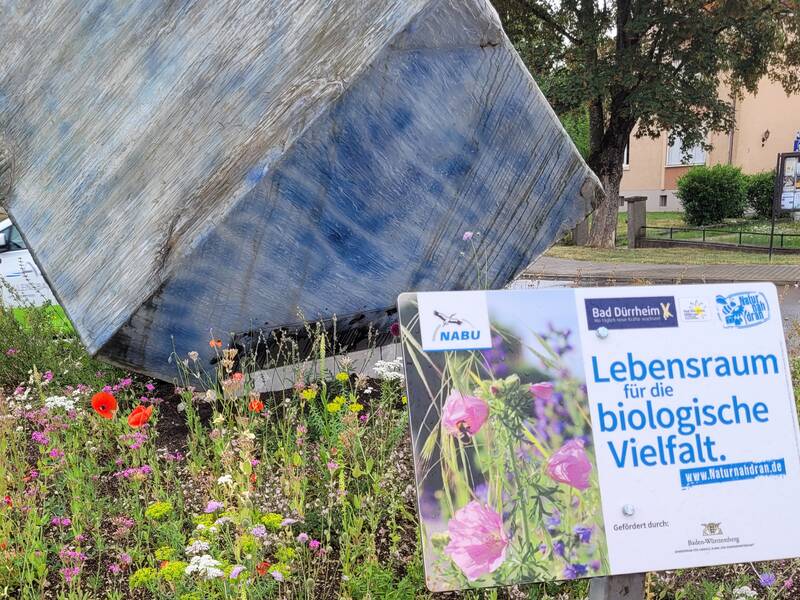 Blumen und ein Erklärschild