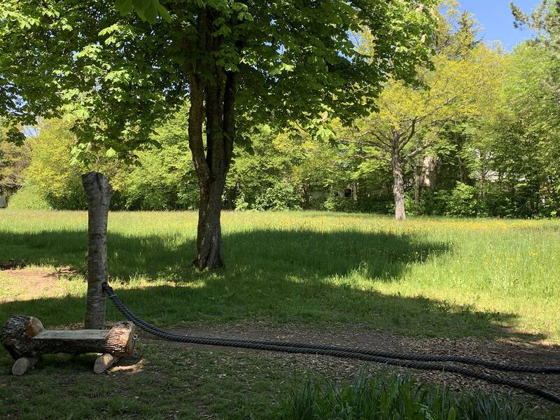 Grüner Park mit Bäumen, einer Holzbank aus Baumstämmen und zwei langen schwarzen Seilen auf dem Boden.