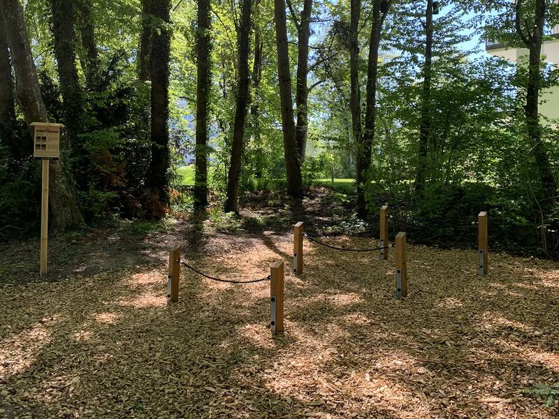 Mehrere Holzpfosten mit Seilen dazwischen bilden einen Parcours im Wald, umgeben von Bäumen und Laub auf dem Boden.