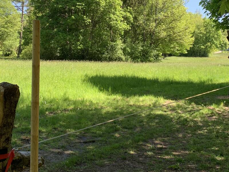 Slackline zwischen einem Baumstumpf und einem Baum in einer grünen Parklandschaft gespannt.