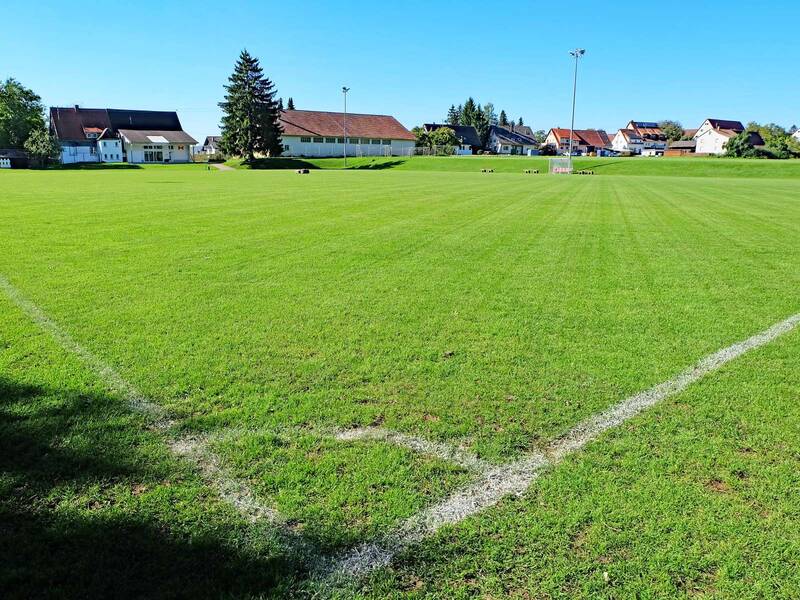 Spielfeldmarkierung auf einem Sportplatz mit Begrünung