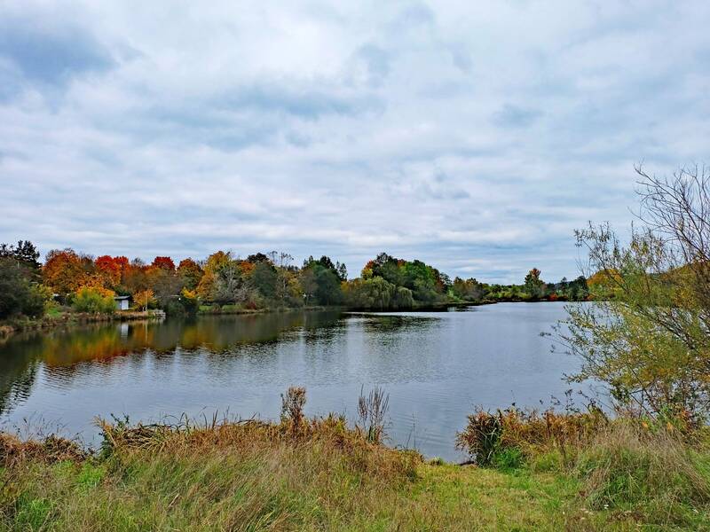 Ein großer See mit Ufern und Büschen