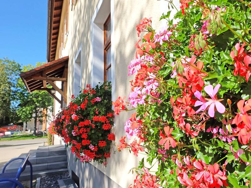 Üppige Blumenkästen an einem Gebäude