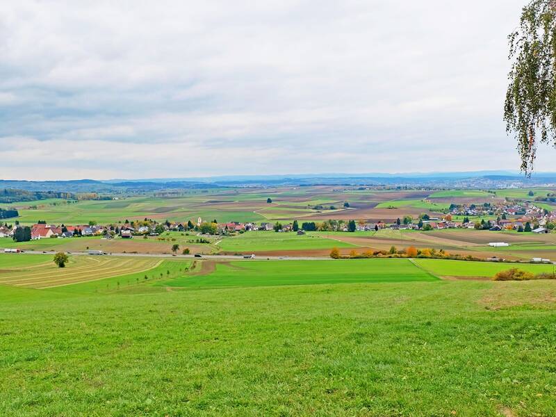 Ausblick auf eine saftig grüne Landschaft