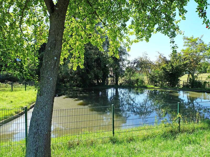 Ein umzäunter See mit Bäumen außenherum
