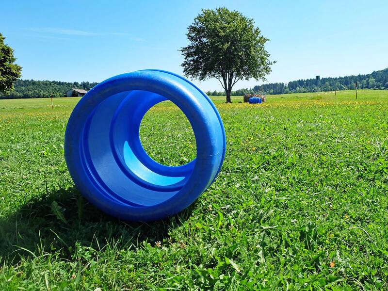 liegende Plastiktonne auf einer Wiese mit Baum