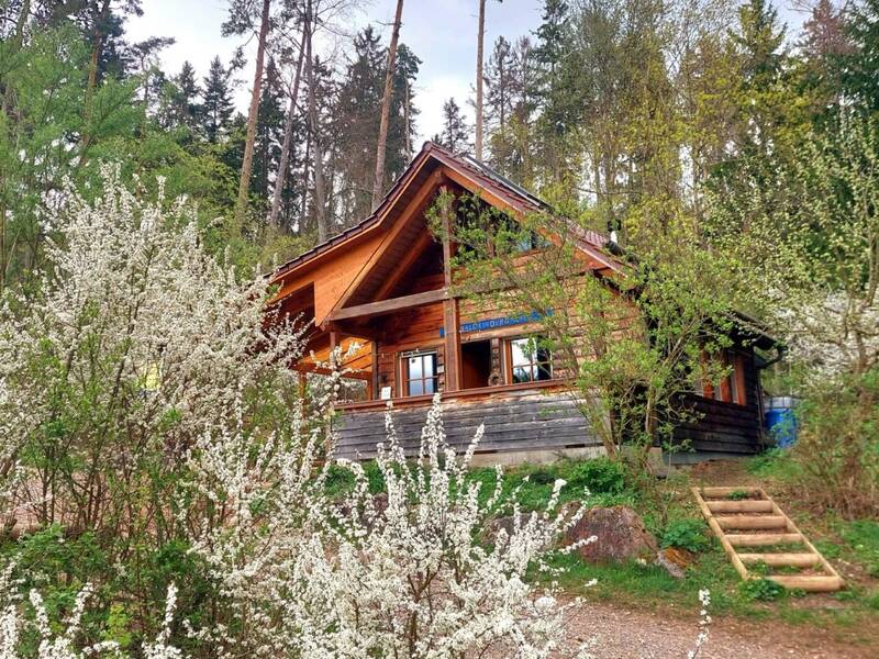 Holzhütte umgeben von Tannenbäumen mit Kiesweg im Vordergrund