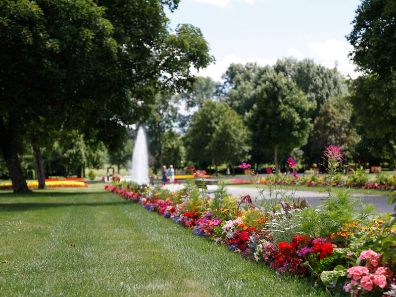 Blumenbeet mit bunten Blumen entlang eines Wegs im Kurpark mit Bäumen und einem Springbrunnen im Hintergrund